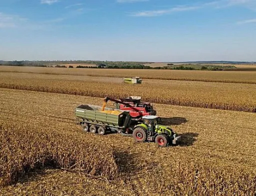 Нібулон та NASA Harvest оголосили про стратегічне партнерство для зміцнення продовольчої безпеки