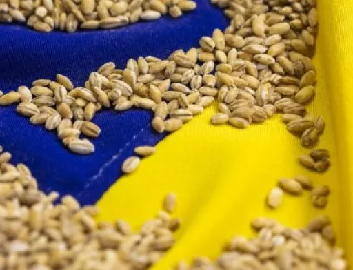 Німеччина і Франція не хочуть продовжувати обмеження на імпорт українського зерна