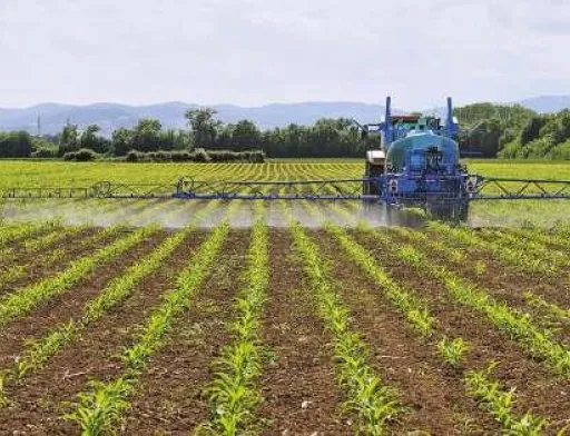 Україна фактично забороняє повномасштабне використання хлорпірифосу, — голова ДППС
