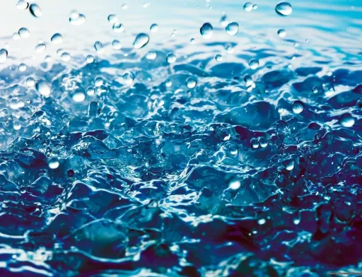 Хвороби рослин пропонують лікувати електролізованою водою