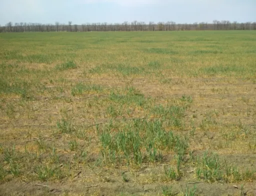 У Мінекономрозвитку відреагували на суїцид фермера в Одеській області