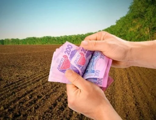 Нібулон виплатить орендну плату за землю, яку він не мав можливості обробляти