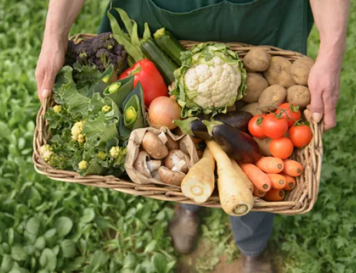 70% українських виробників органічної продукції мають труднощі з її збутом
