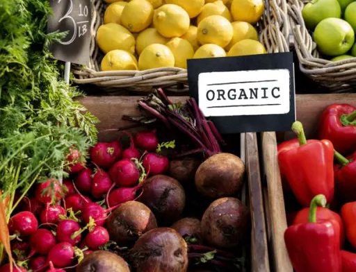 ЄС зробив крок назустріч органічній продукції з України. Тепер черга за Верховною Радою