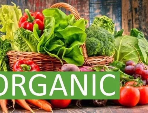 Україна лідирує за імпортом екопродукції до країн ЄС, а Вінниччина — за кількістю органічних земель