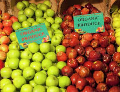 До списку найбільших імпортерів органічної продукції з України входять лише розвинуті країни
