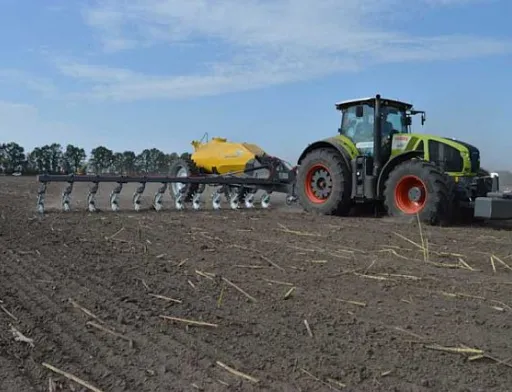 Осінні польові роботи на Харківщині: аграрії збільшили площі посівів
