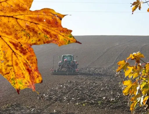 На Рівненщині закінчують осінню посівну