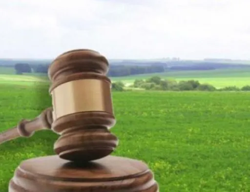 Волинська прокуратура повертає державі 2 га особливо цінних земель