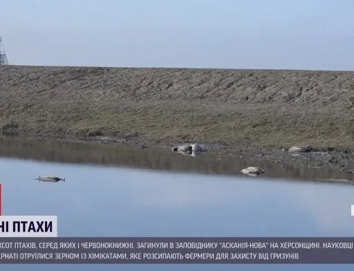 Україні загрожує міжнародний скандал через масову загибель червонокнижних птахів у заповіднику «Асканія-Нова»