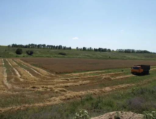 Запуск ринку землі може підняти українську економіку