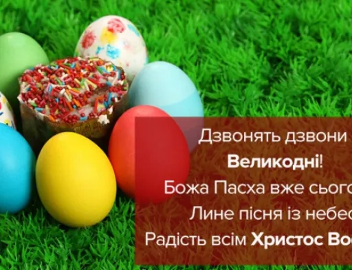 Шановні колеги!