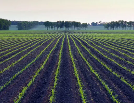 Україна найбільш розорана країна світу