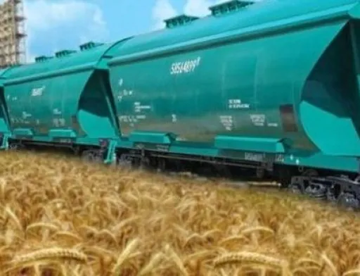 Вартість перевезення зерна Укрзалізницею знижується