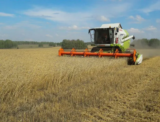 У північно-східних областях країни почалася збиральна кампанія