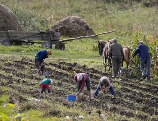 Держава присвоїла 1.5 млн гектарів землі померлих українців