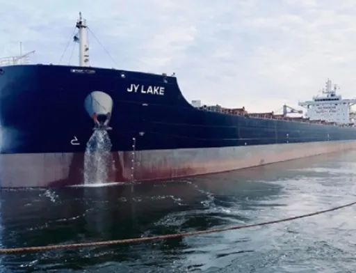 З України до Китаю по морю відправили рекордну партію соняшникового шроту