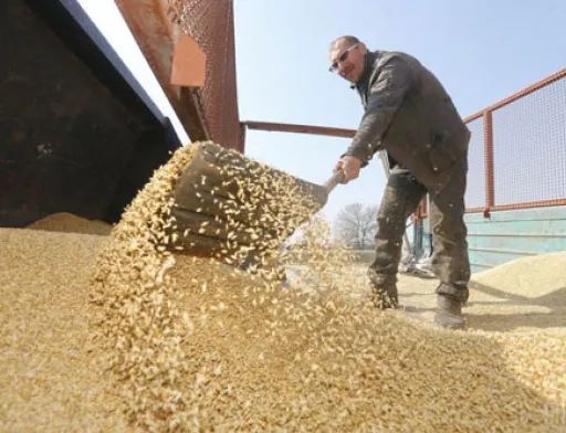 Кабмін обіцяє виділити аграріям в півтора рази більше грошей в 2020 році