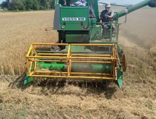 Україна щороку втрачає величезні обсяги врожаю через брак комбайнів