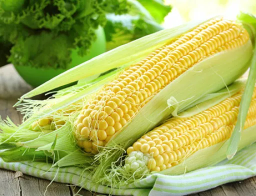 В Україні різко скоротилися запаси кукурудзи