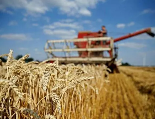 Зарплата у аграріїв за 7 місяців зросла майже на чверть