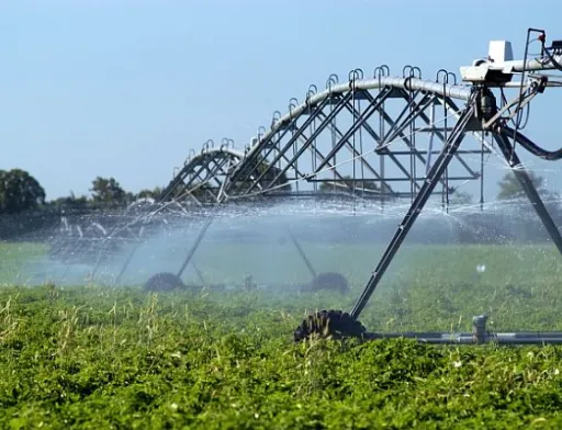 У 2024 році уряд спрямував 39,4 млн грн на підтримку аграріїв, які використовують меліоровані землі