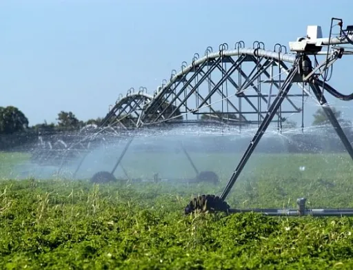 Площа зрошуваних земель у південних областях збільшилась на 6%