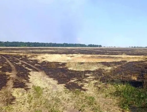 В Мінагрополітики роз’яснили зміни до Податкового кодексу стосовно деокупованих земель