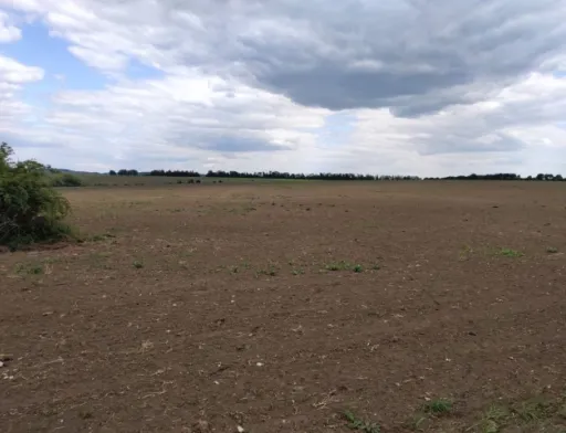 На Хмельниччині землі природного парку засіяли соєю та кукурудзою