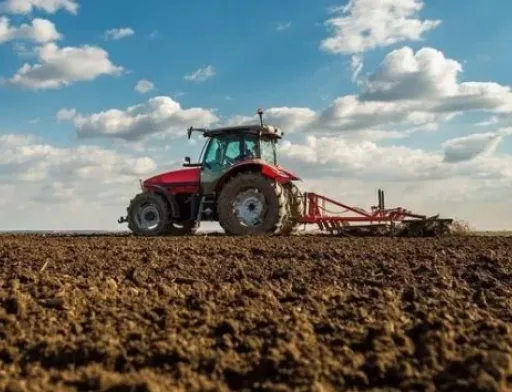 Аграрії Полтавщини засіяли понад 67 тис. га озимих зернових