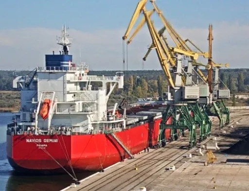 Україна експортувала більше 3 млн т зерна нового врожаю