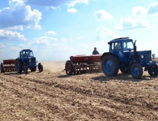 Посівна площа на Дніпропетровщині практично не зміниться