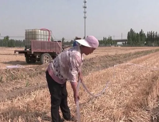 Посуха в Китаї: в деяких провінціях оголосили помаранчевий рівень небезпеки