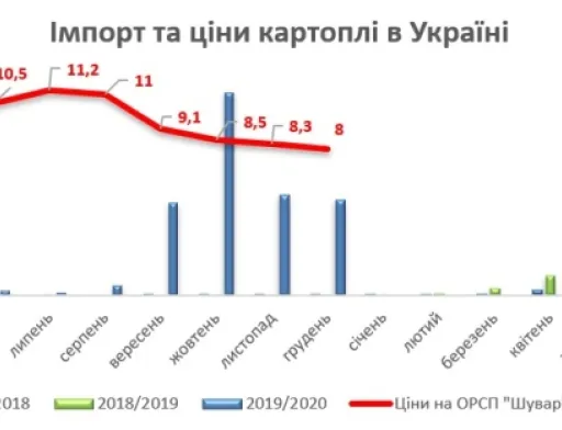 Картопля в Україні дешевшає. Чи надовго?