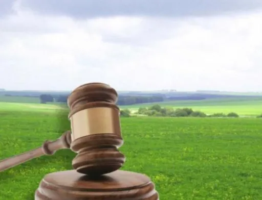 У Тячеві прокуратура повернула громаді 11 га землі вартістю понад 55 млн грн