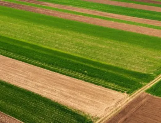 Оформлення права власності на землі сільськогосподарського призначення спростять
