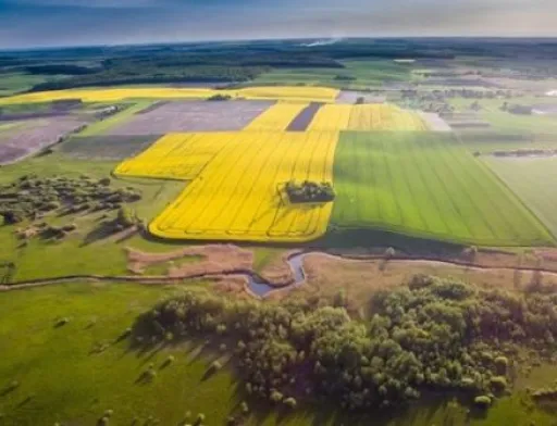 П’ять кроків для оформлення права власності на пай у 2023 році