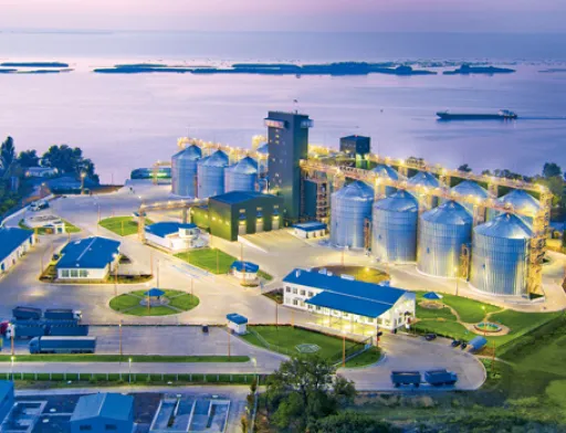 "Нібулон" почав продавати українське зерно в Данію, Норвегію та Індію