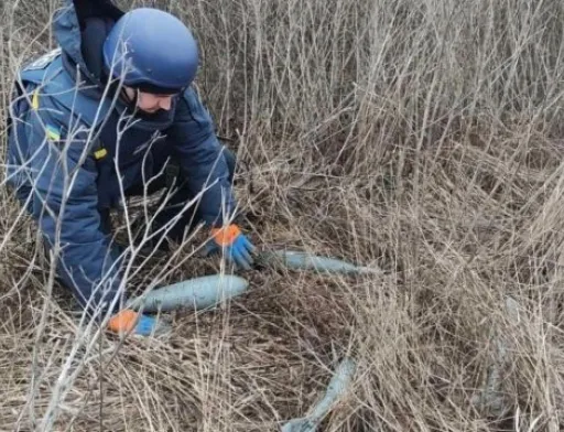 В трьох областях України завершено пріоритетне розмінування сільгоспземель