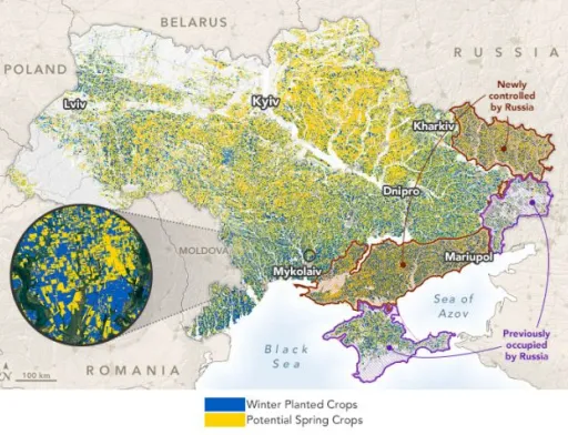 В NASA спрогнозували врожайність озимої пшениці в Україні