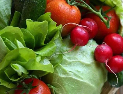 Продукція з теплиць та відкритого ґрунту вирівняє обмежену пропозицію ранніх овочів