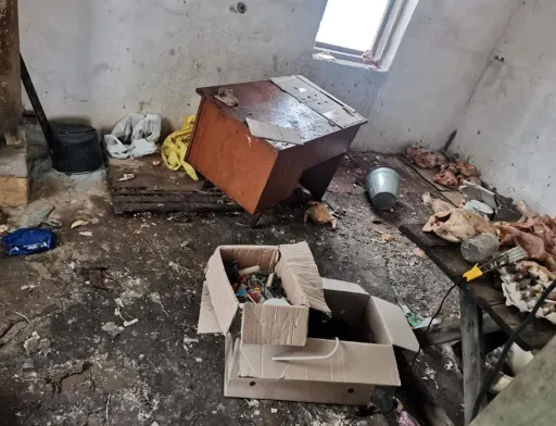 На Сумщині окупанти розграбували птахофабрику і розбомбили хлібзавод