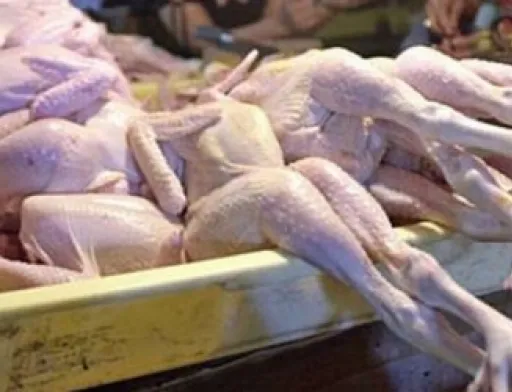 Україна заборонила ввіз птиці з Болгарії та Угорщини