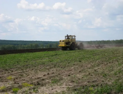 1,2 млрд грн збитків через незаконну передачу земель «Пуща-Водиці» — підозрюють екскерівника Держгеокадастру Київщини