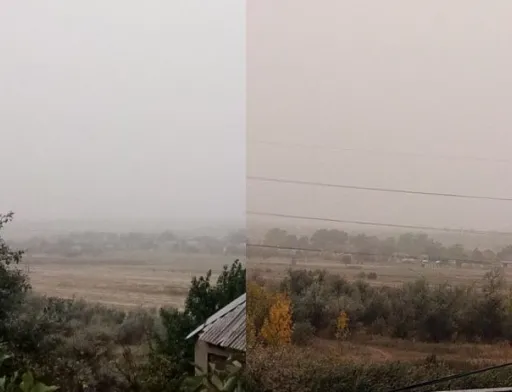 На Донеччині через посуху та проблеми з ґрунтом здійнялась пилова буря