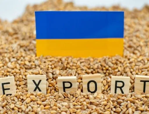 Аграрії пропонують змінити митні правила для розвитку експорту продуктів з доданою вартістю