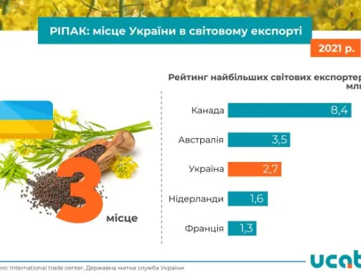 Україна опустилась на третє місце в рейтингу експортерів ріпаку