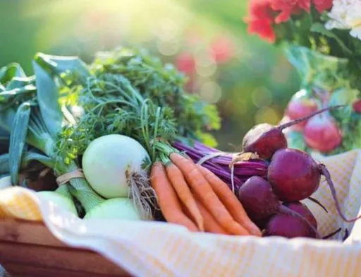 З початку року відбулось пожвавлення на ринку органічної продукції