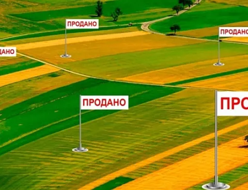 За рік роботи ринку земля подорожчала на 30%