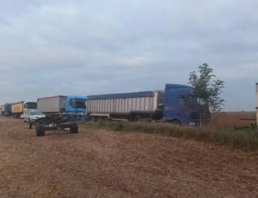 На Рівненщині запобігли незаконному обмолоту та крадіжці зернових культур